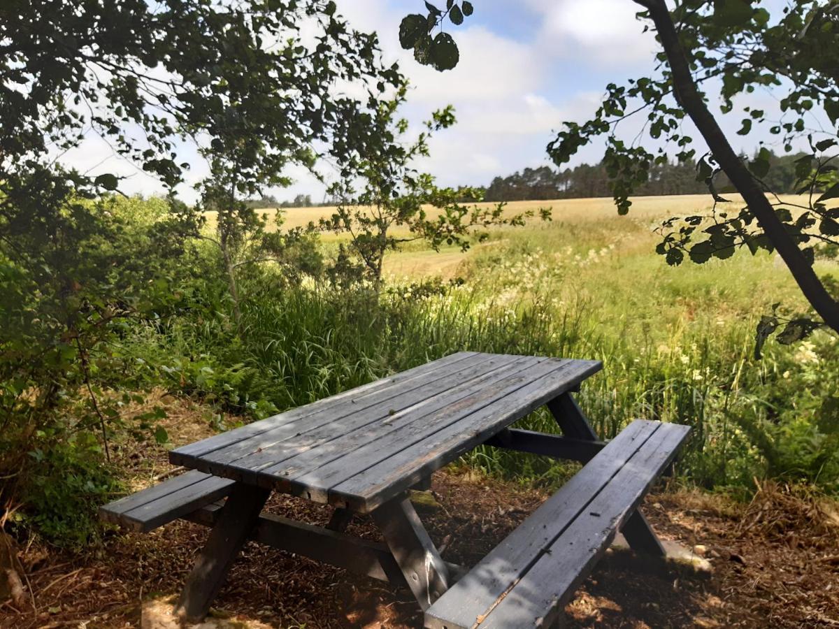 Rejkjaer Camping Hytter & Lejligheder Ulfborg المظهر الخارجي الصورة