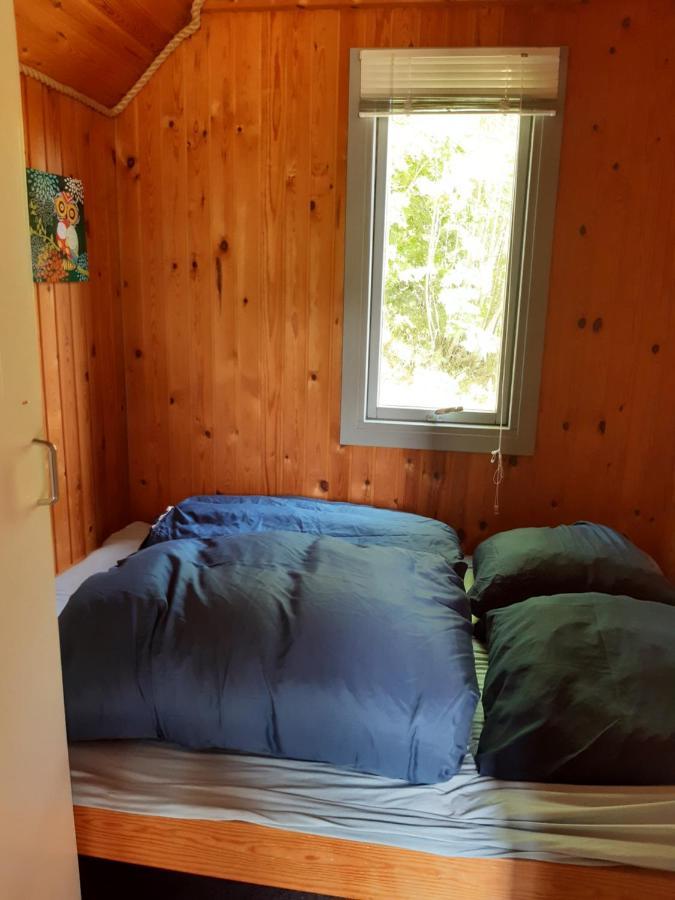 Rejkjaer Camping Hytter & Lejligheder Ulfborg المظهر الخارجي الصورة